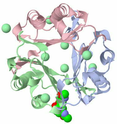 Image Biol.Unit 1 - manually