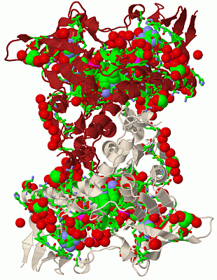 Image Biol.Unit 1 - manually