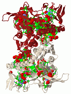 Image Biol.Unit 1 - manually