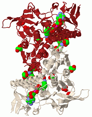 Image Biol.Unit 1 - manually