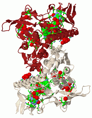 Image Biol.Unit 1 - manually