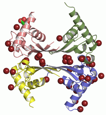 Image Asym./Biol. Unit - manually