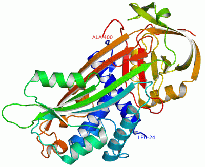 Image Asym./Biol. Unit - manually