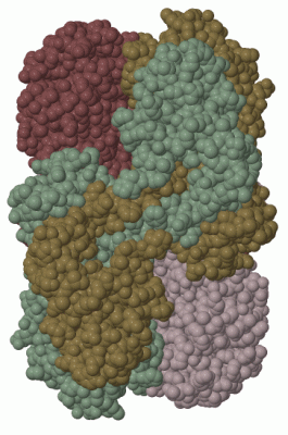 Image Biol.Unit 1 - manually