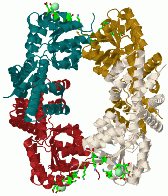 Image Biol.Unit 1 - manually