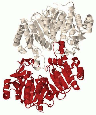 Image Biol.Unit 1 - manually