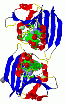 Image Asym./Biol. Unit - manually