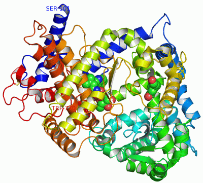 Image Asym./Biol. Unit - manually