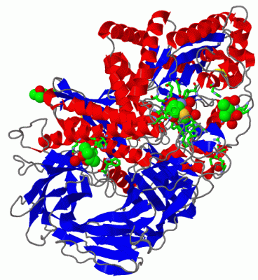 Image Asym./Biol. Unit - manually