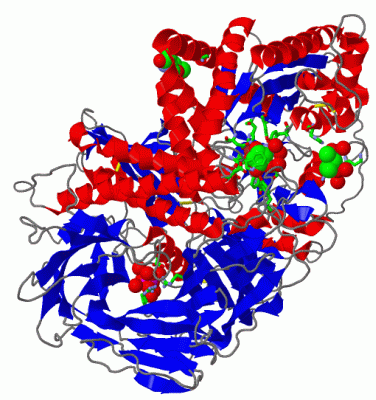 Image Asym./Biol. Unit - manually