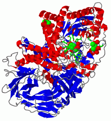 Image Asym./Biol. Unit - manually