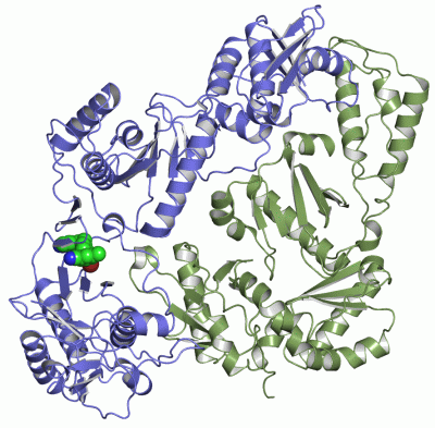 Image Asym./Biol. Unit - manually