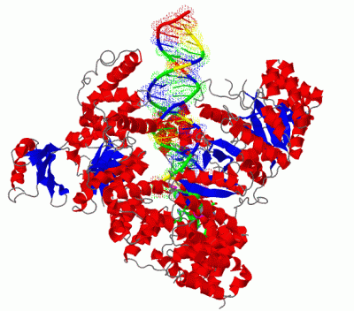 Image Biol.Unit 1 - manually