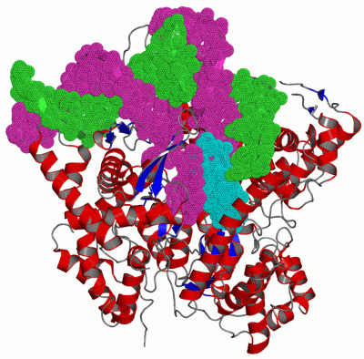 Image Asym./Biol. Unit - manually