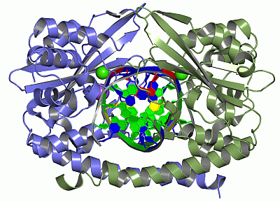 Image Asym./Biol. Unit - manually