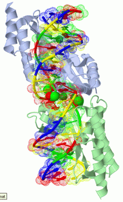 Image Asym./Biol. Unit - manually