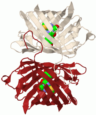 Image Biol.Unit 1 - manually