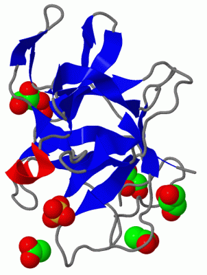 Image Asym./Biol. Unit - manually