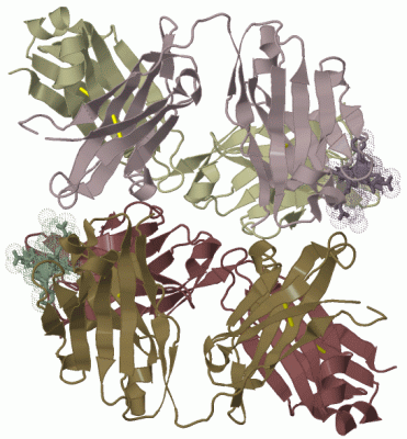 Image Biol.Unit 1 - manually