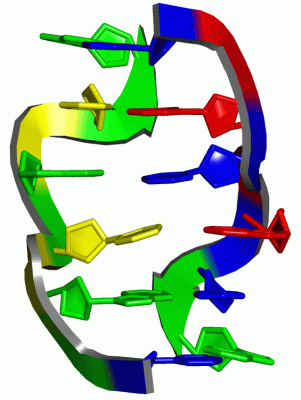 Image Asym./Biol. Unit - manually