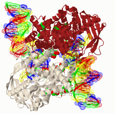 Image Biol.Unit 1 - manually