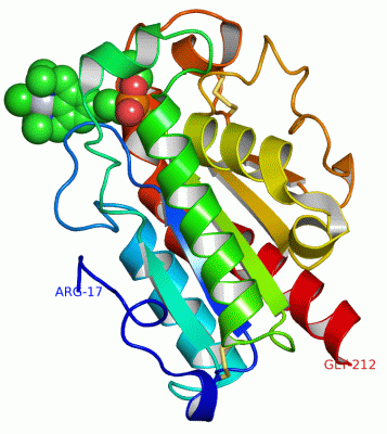 Image Asym./Biol. Unit - manually