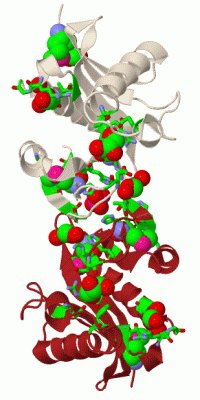 Image Biol.Unit 1 - manually