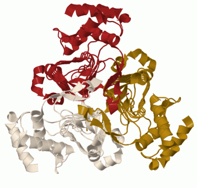 Image Biol.Unit 1 - manually