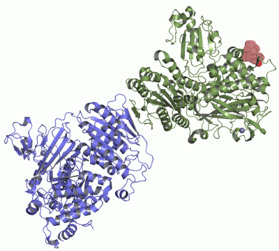 Image Asym./Biol. Unit - manually