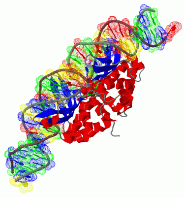 Image Biol.Unit 1 - manually