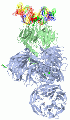 Image Asym./Biol. Unit - manually