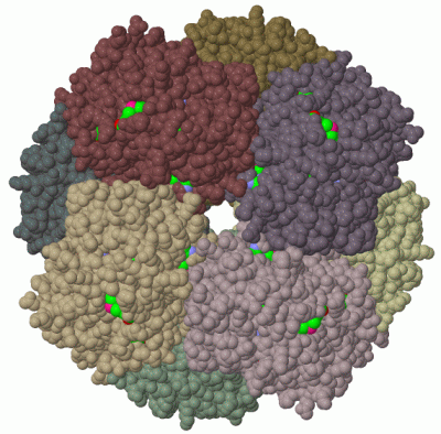 Image Biol.Unit 1 - manually