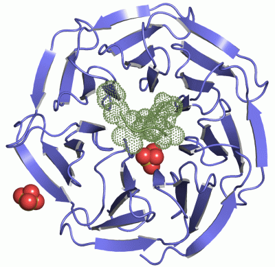 Image Asym./Biol. Unit - manually