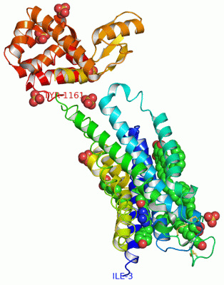 Image Asym./Biol. Unit - manually