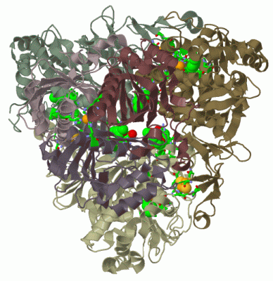 Image Biol.Unit 1 - manually