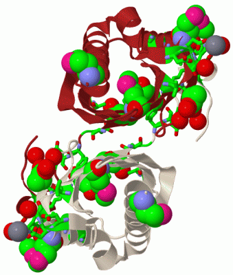 Image Biol.Unit 1 - manually