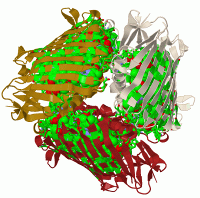 Image Biol.Unit 1 - manually