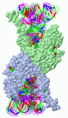 Image Biol.Unit 1 - manually