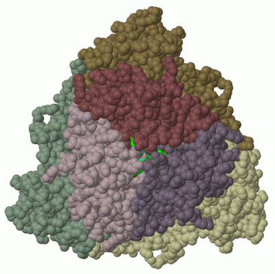 Image Biol.Unit 1 - manually