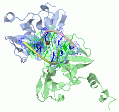 Image Asym./Biol. Unit - manually