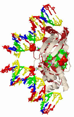 Image Biol.Unit 1 - manually