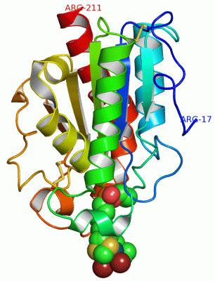 Image Asym./Biol. Unit - manually