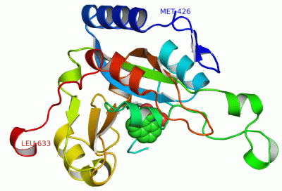 Image Asym./Biol. Unit - manually