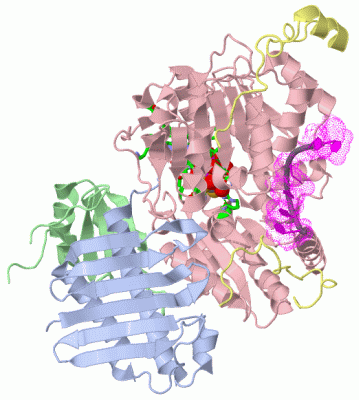 Image Biol.Unit 1 - manually