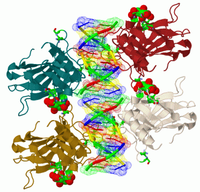 Image Biol.Unit 1 - manually