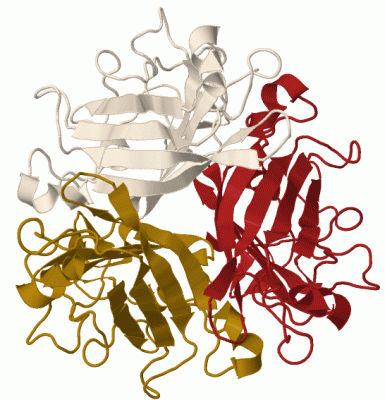 Image Biol.Unit 1 - manually