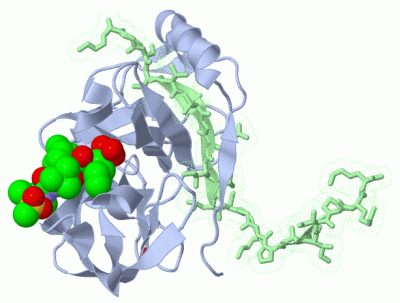 Image Biol.Unit 1 - manually