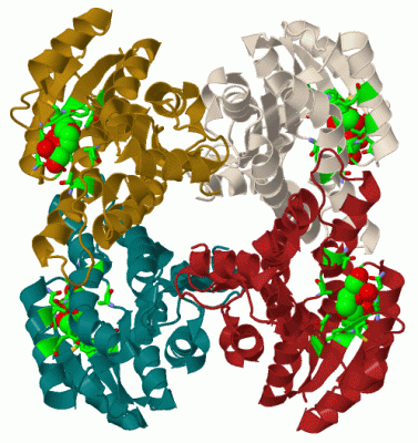 Image Biol.Unit 1 - manually