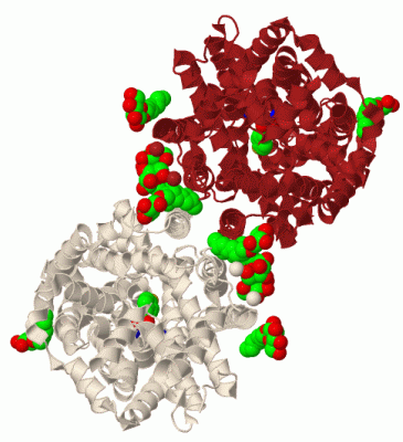 Image Biol.Unit 1 - manually