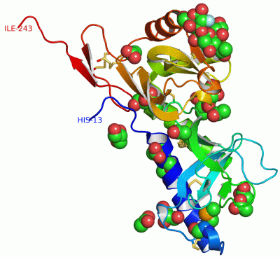 Image Asym./Biol. Unit - manually